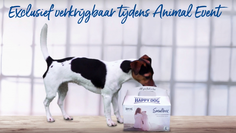 De uitdaging van de maand hyperactieve honden filmen voor een greenscreen